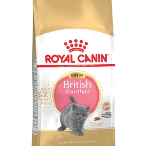ROYAL CANIN FBN British Shorthair Kitten 2kg Katzentrockenfutter Begrenztes Angebot